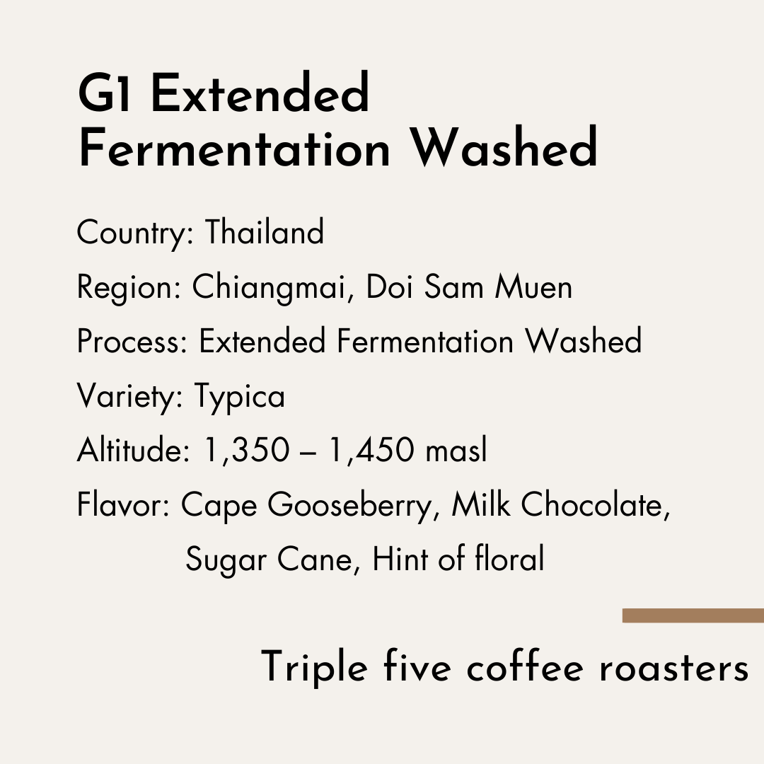 Triple five coffee roasters - Thailand G1 -